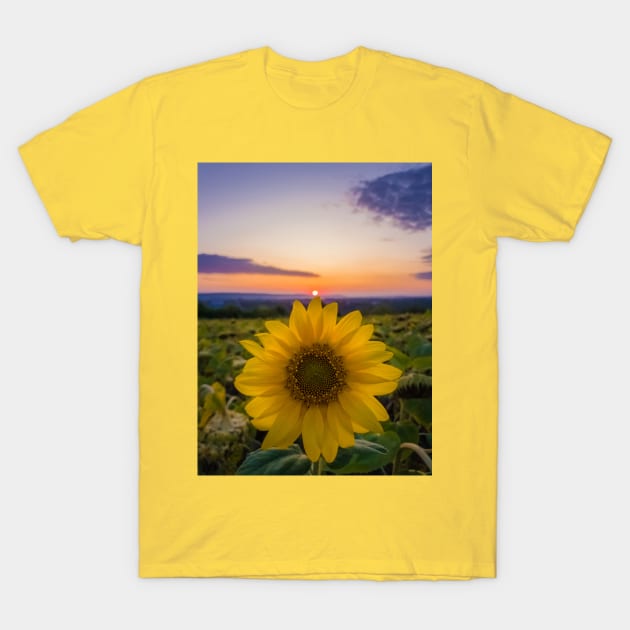 touch the sun T-Shirt by psychoshadow